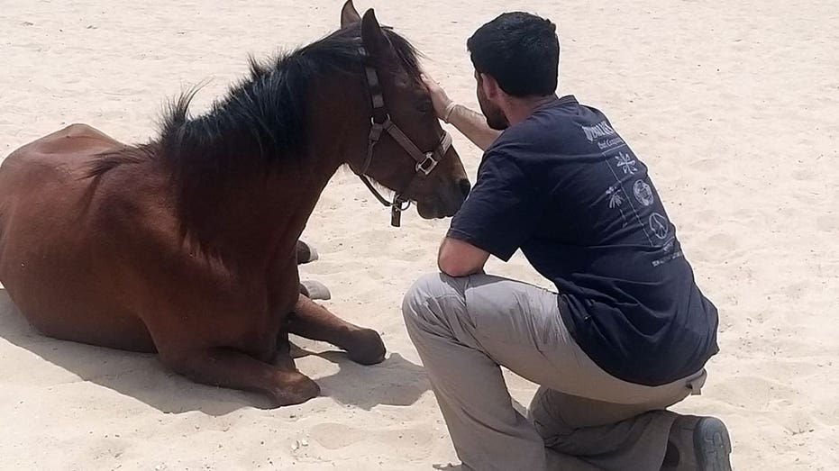 Horses help heal soldiers amid Israel's mounting PTSD crisis after Oct 7 attacks